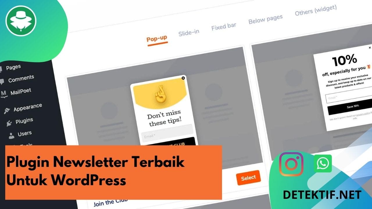 plugin newsletter wordpress tingkatkan engagement email